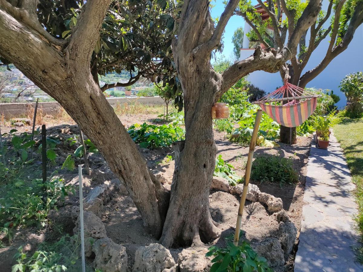 Апартаменти Il Giardino Barano d'Ischia Екстер'єр фото